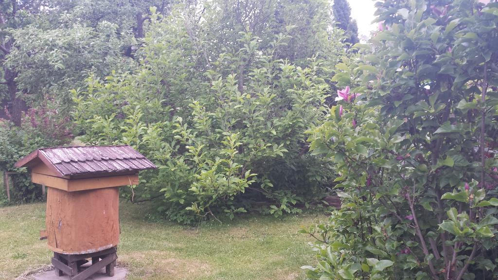 Kwiatowa Zagroda Białowieża Exterior foto