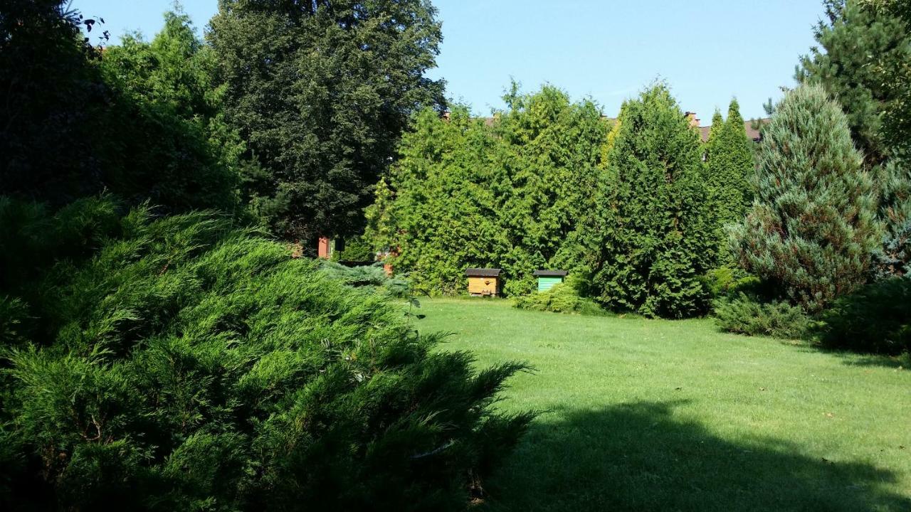Kwiatowa Zagroda Białowieża Exterior foto